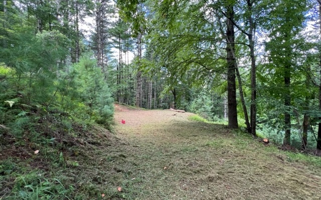 LOT 8  GRICE WOODS RD